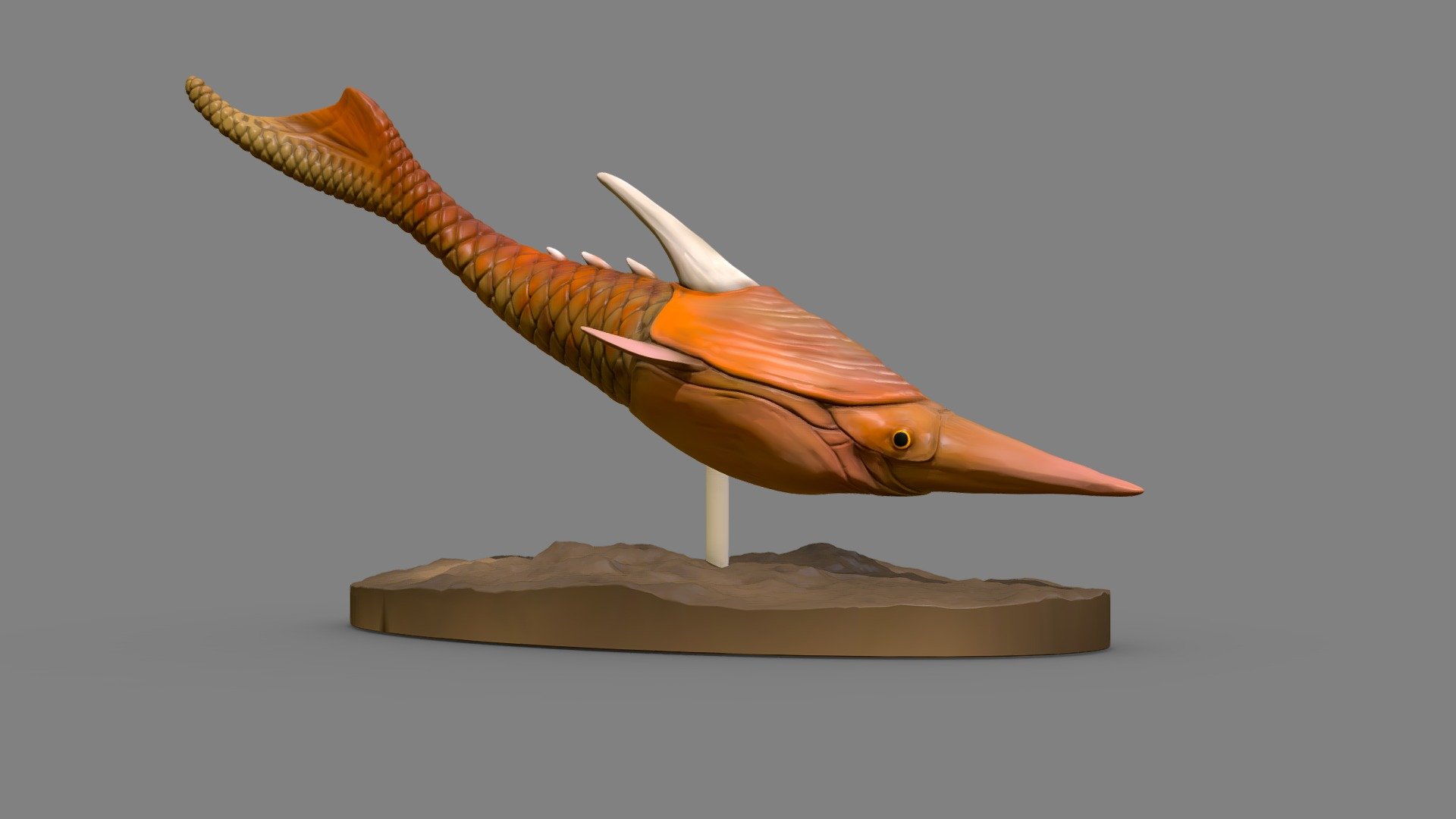 Pteraspis for 3D Printing 3d model