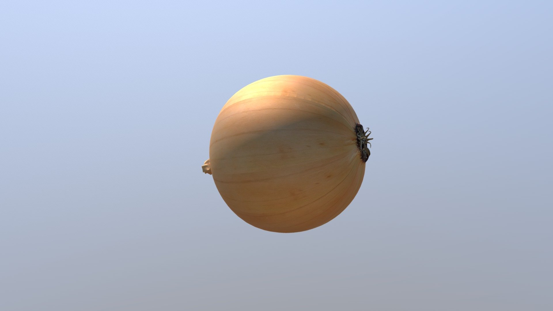 Onion 3d model