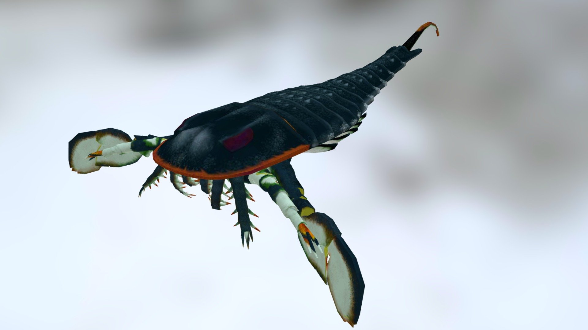 Eurypterus 3d model