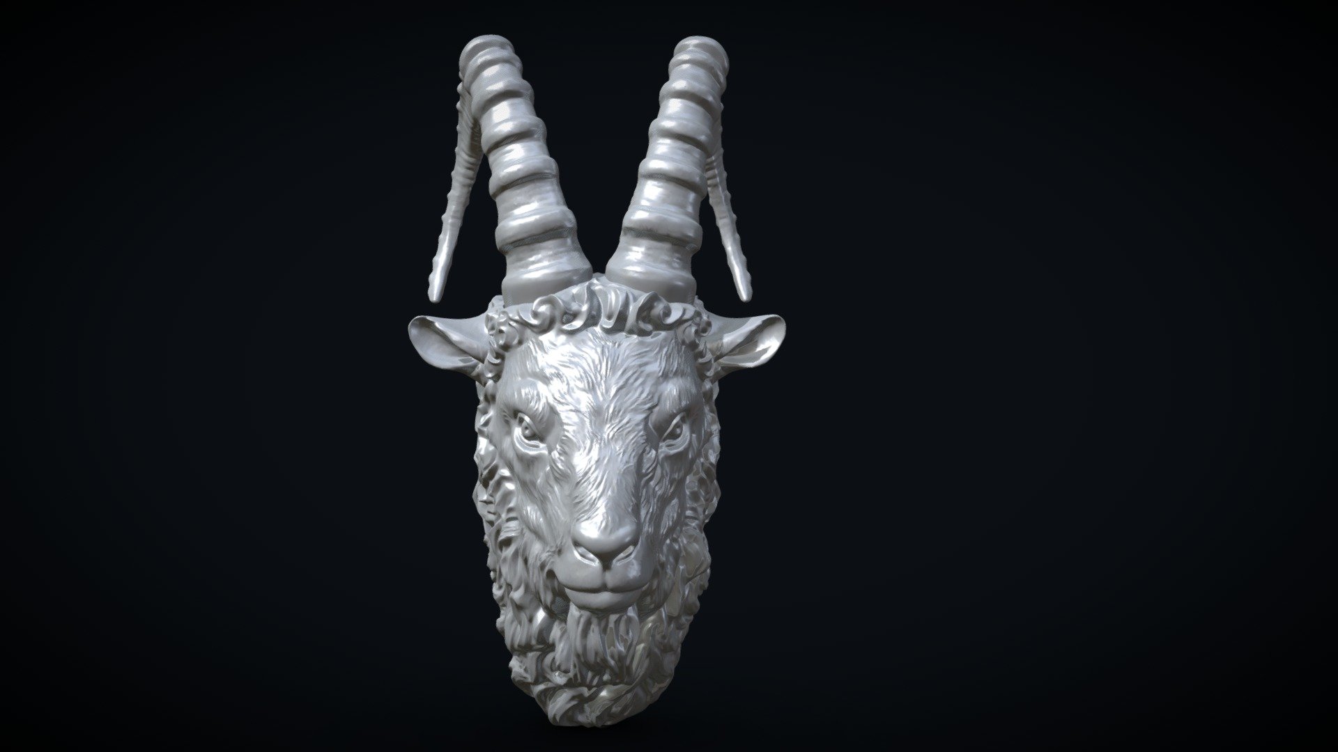 Mountain Goat Head 3d model