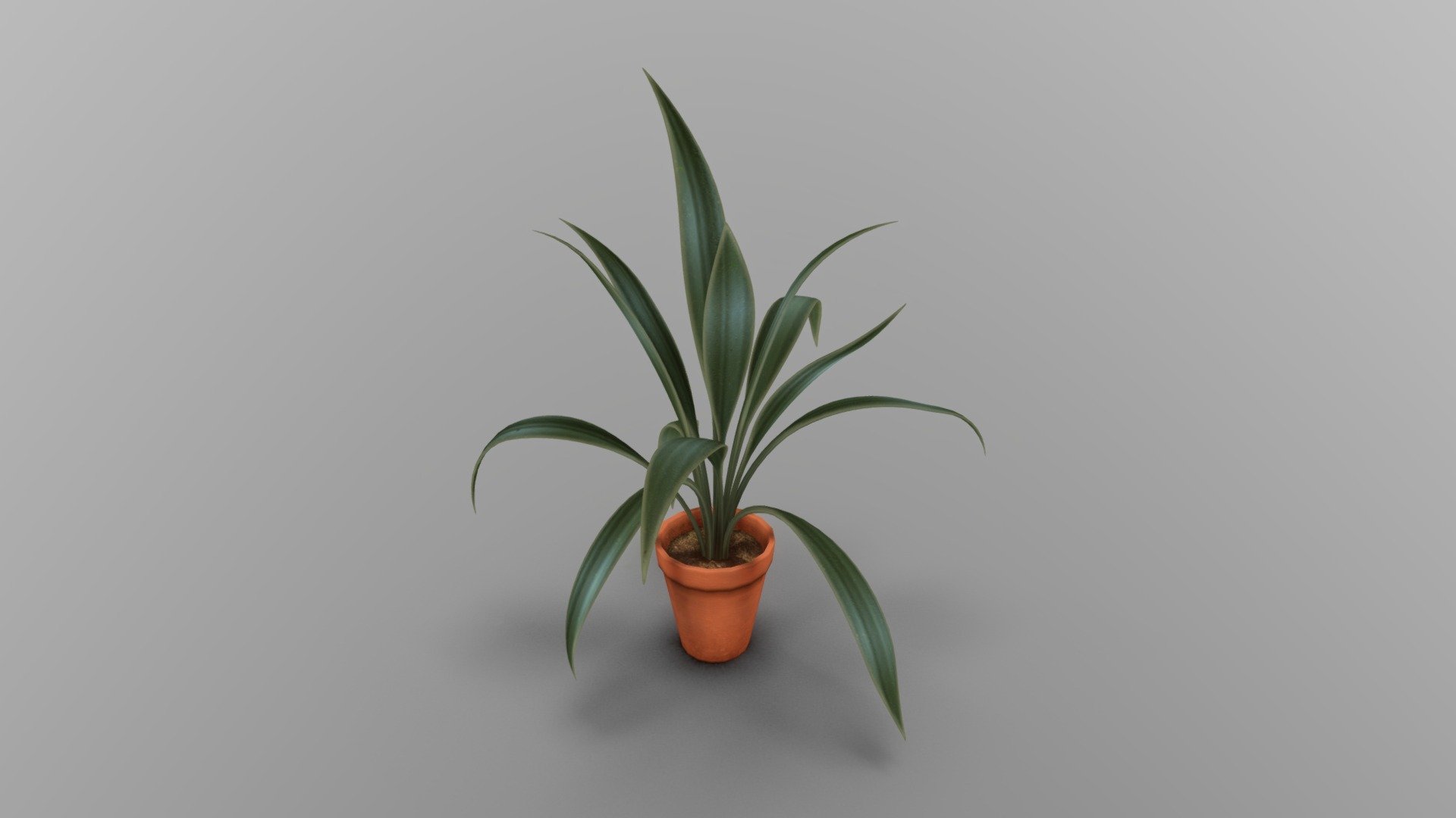 Tropical plant in terracotta pot 3d model