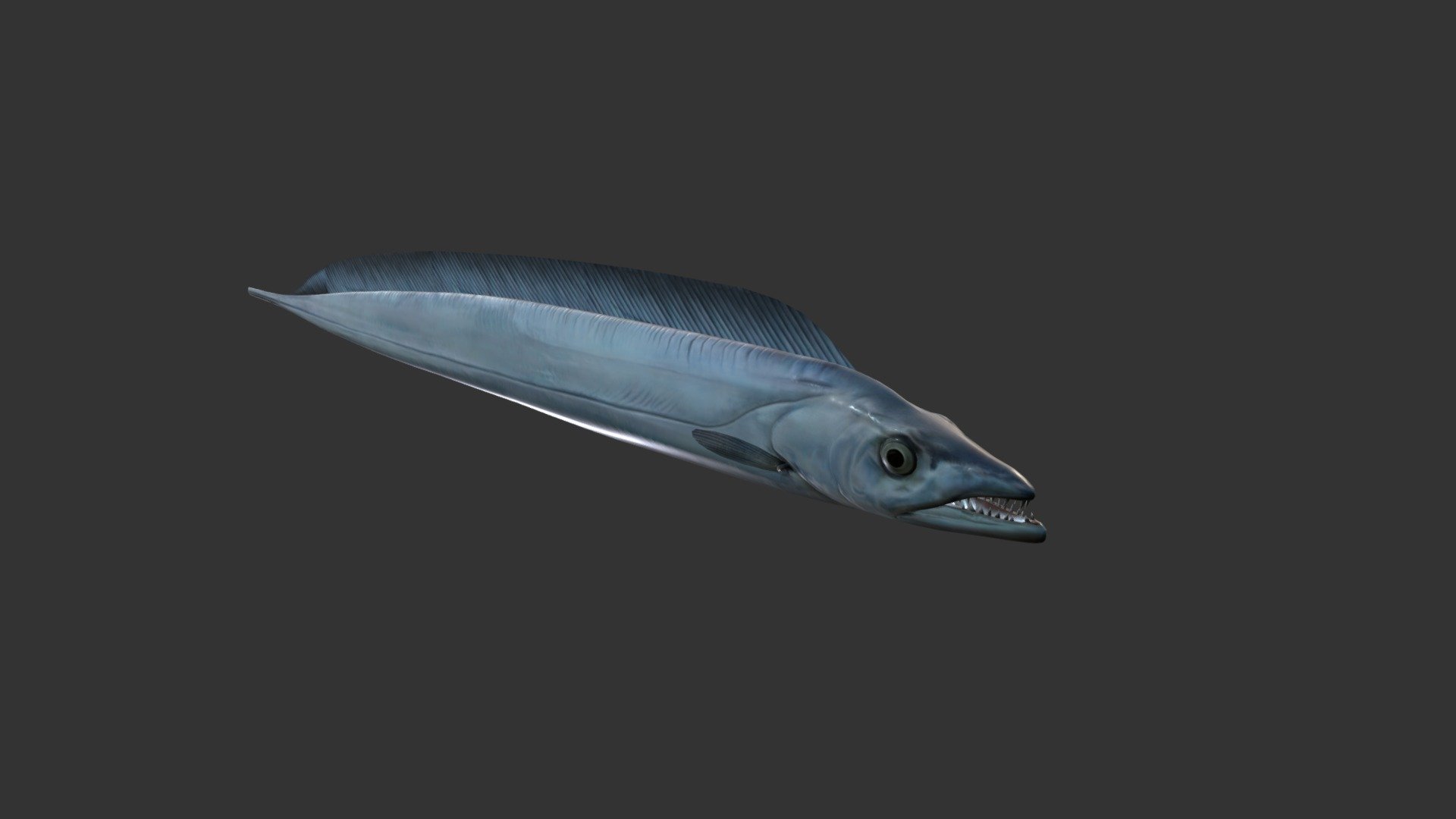 Sea Eel 3d model