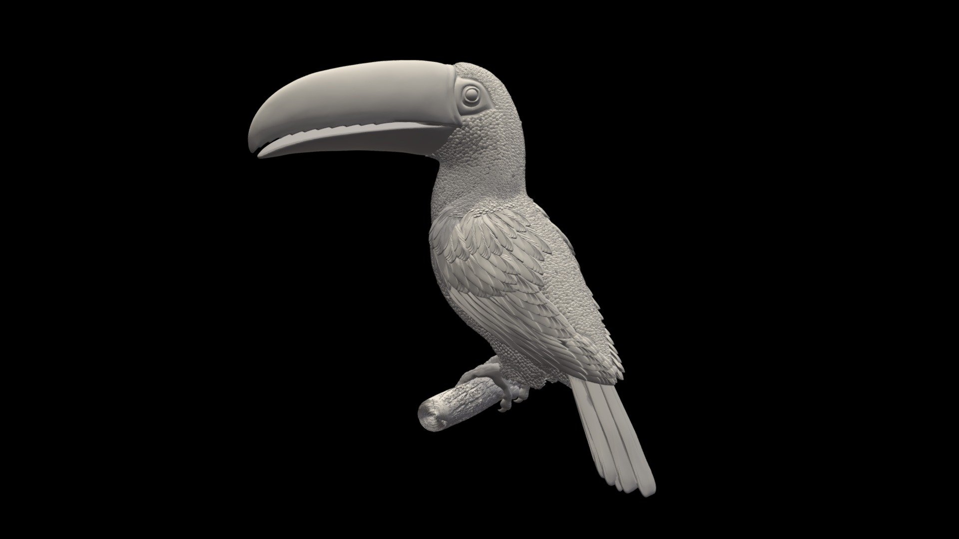 tucan 3d model