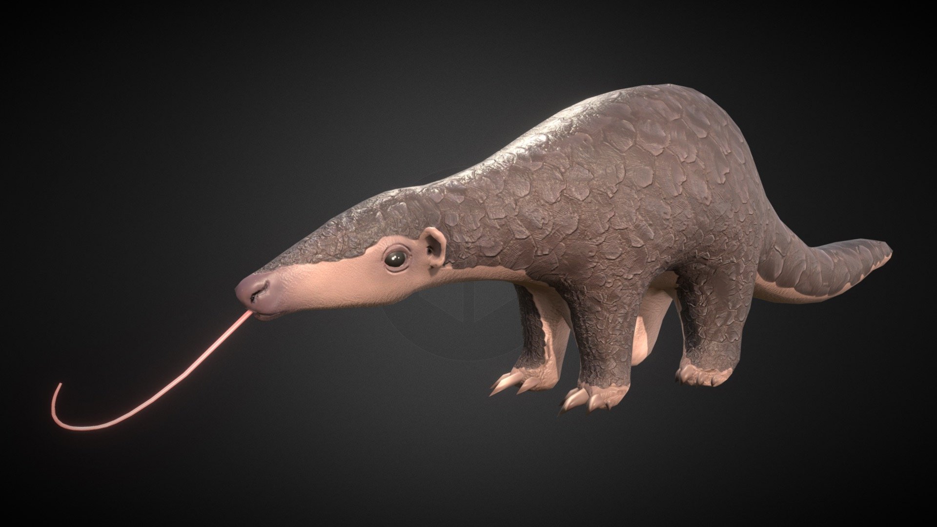 Sunda Pangolin 3d model