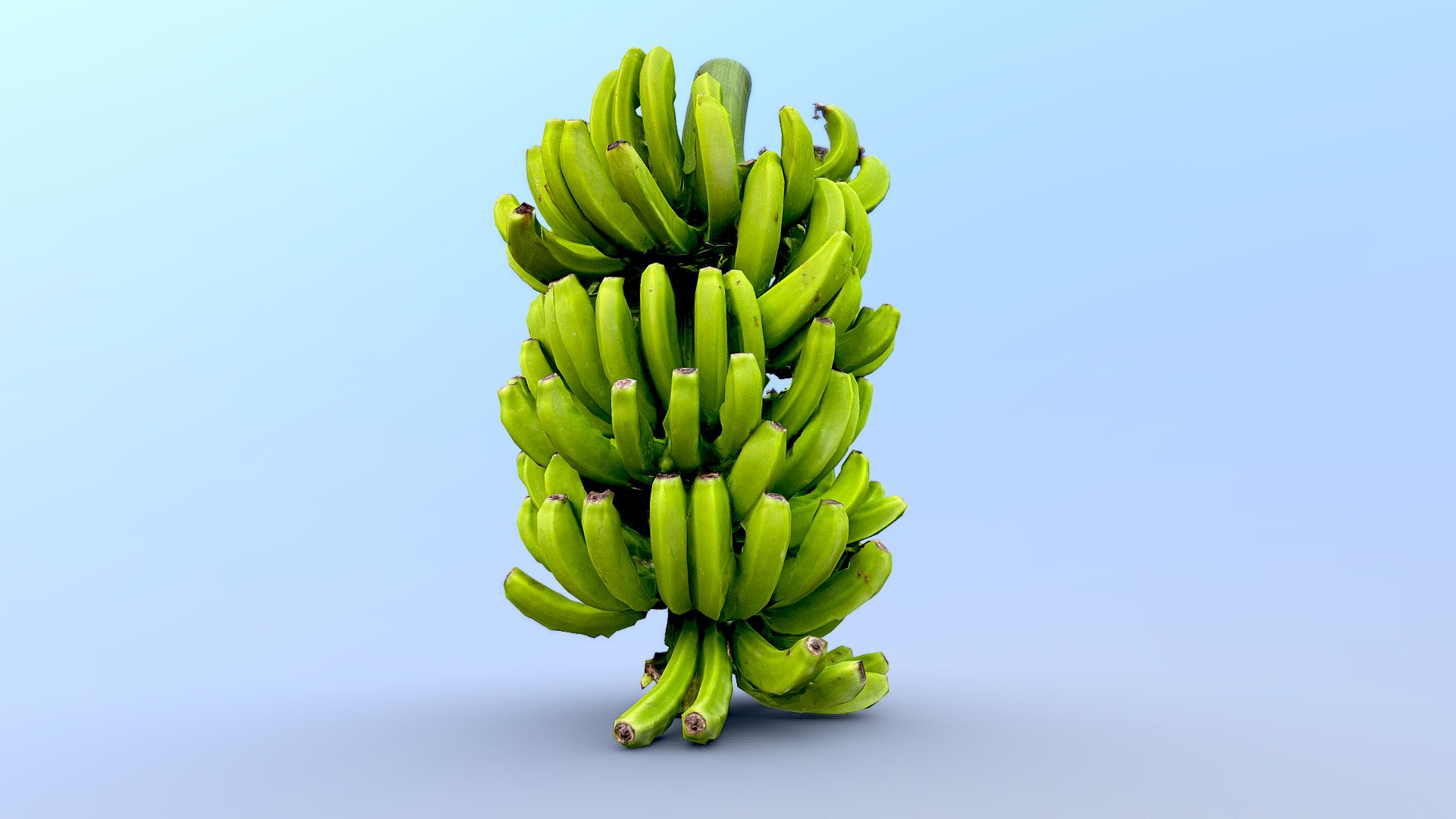 Bananas for scale 3d model