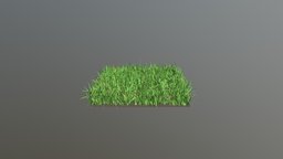 Grass