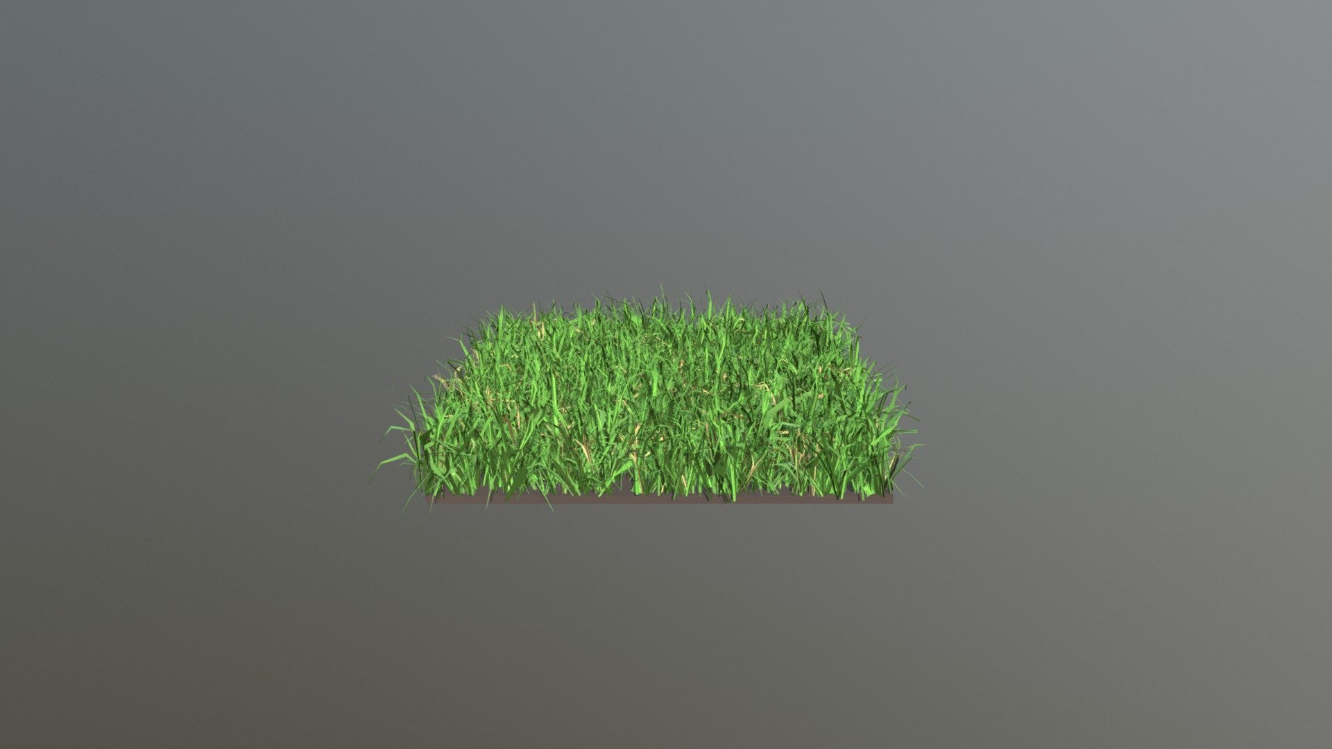 Grass 3d model