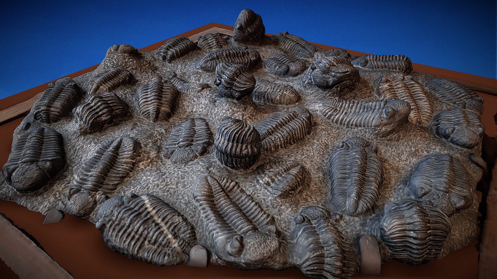 Trilobites 3d model