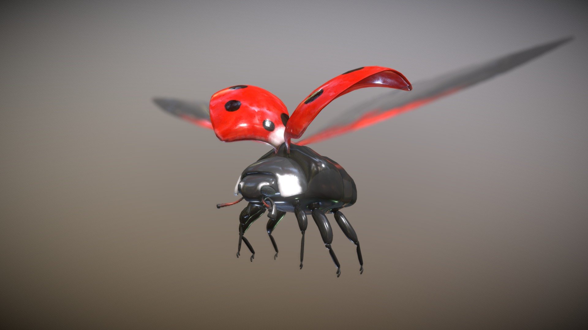 Ladybug 3d model