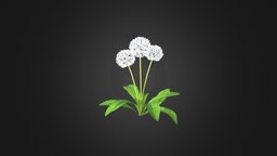 Sow-thistle 3D Model