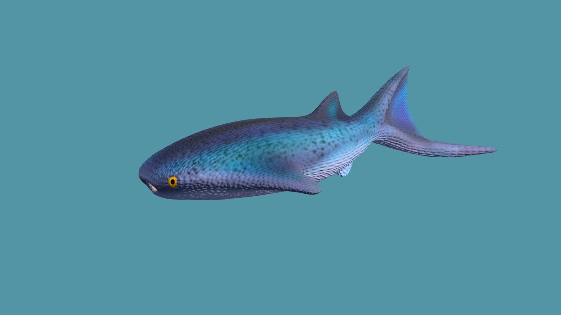 Thelodus 3d model