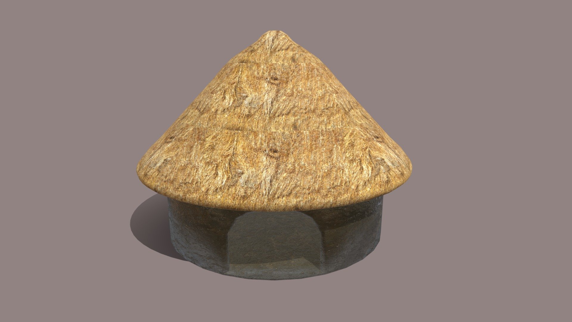 Mud Hut 3d model