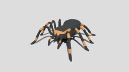 Low Poly Cartoon Tarantula