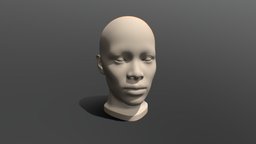 Realistic Afrocentric Female Planar Head