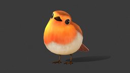 Bird Orange