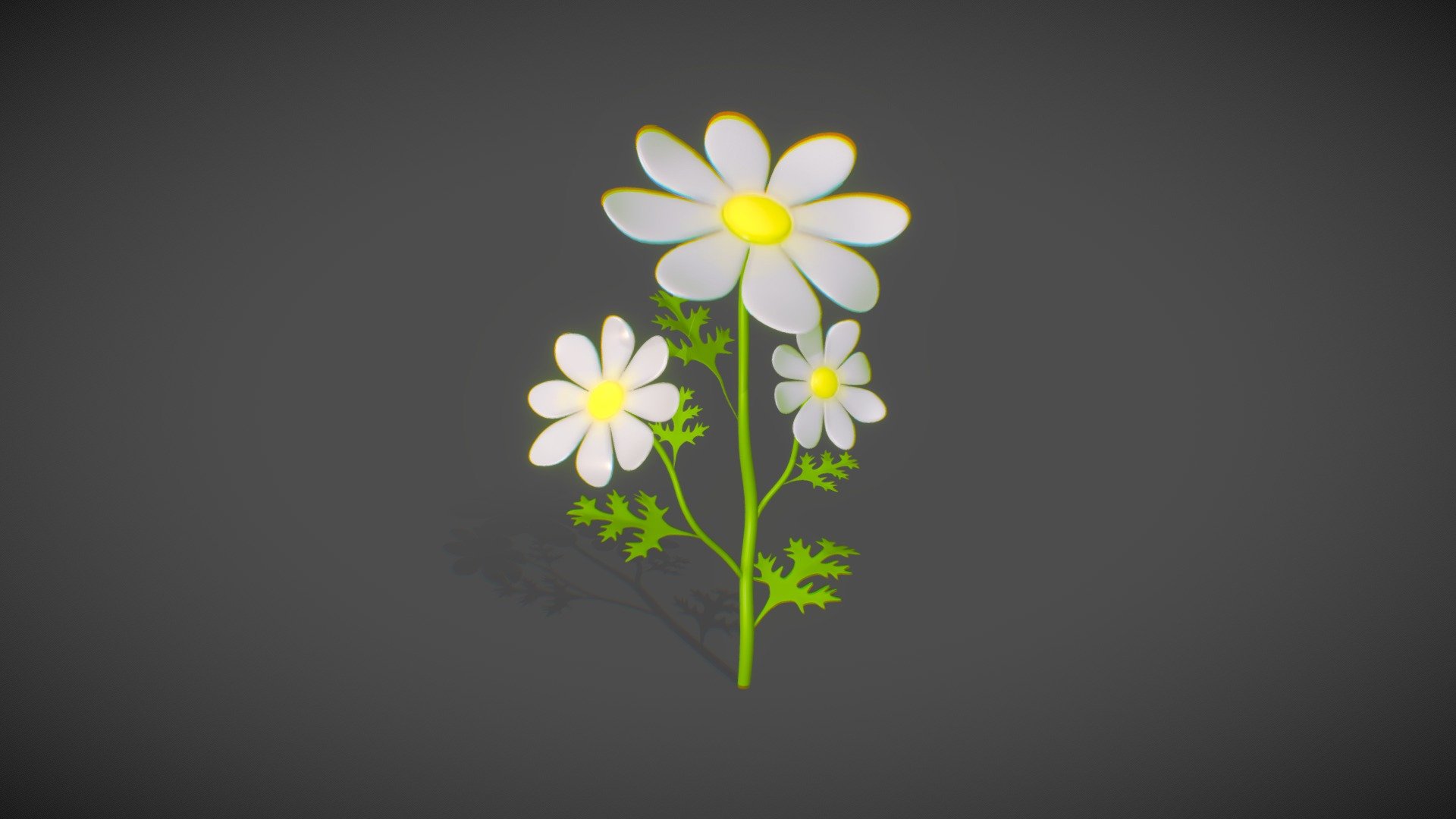 Daisy 3d model