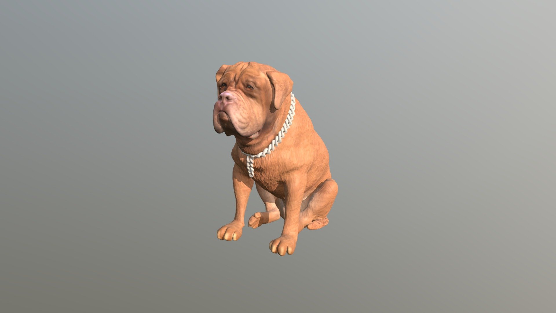 1808056- Hector- Dogue De Bordeux 3d model