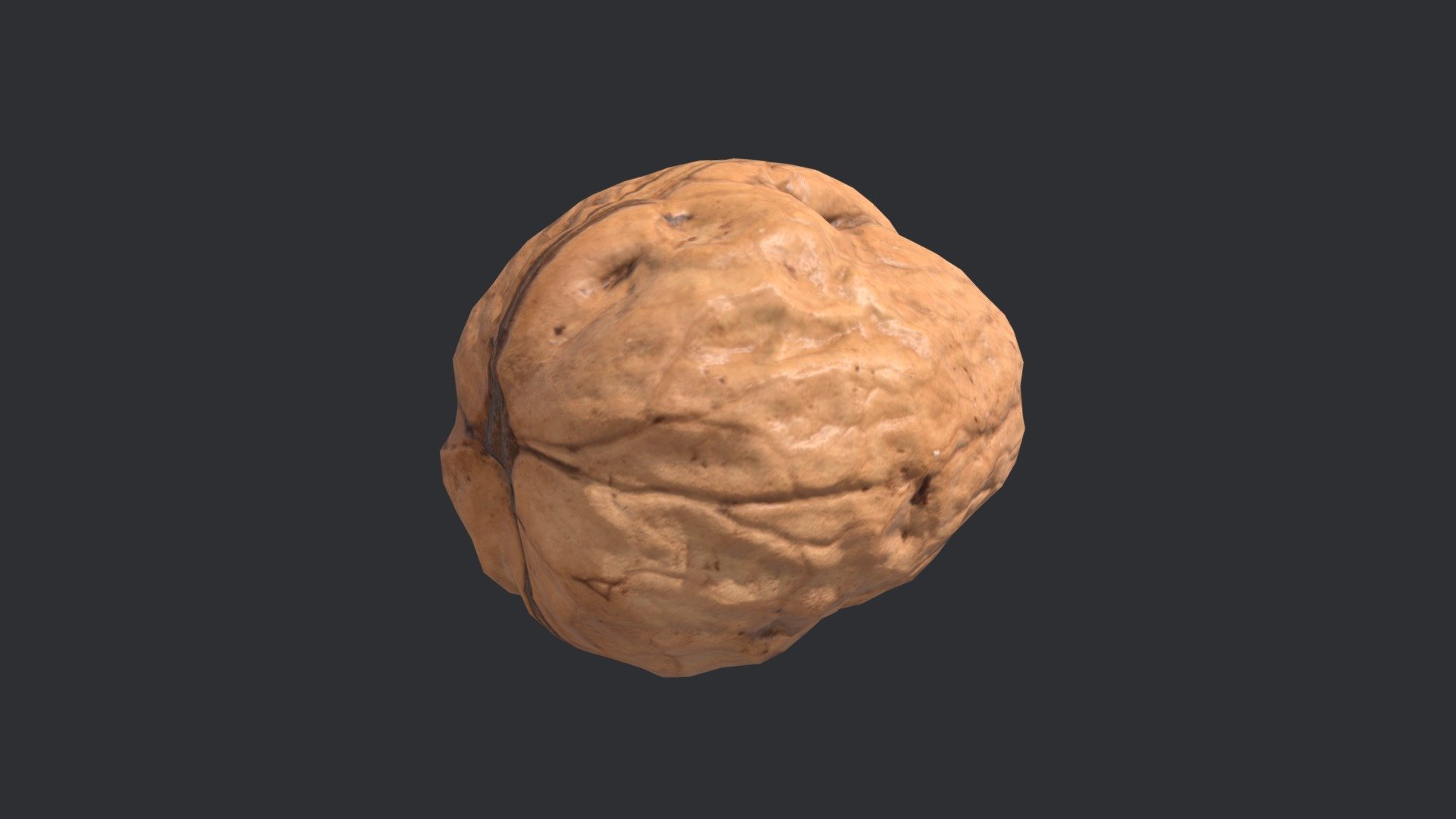 Walnut Unshelled 3 3d model