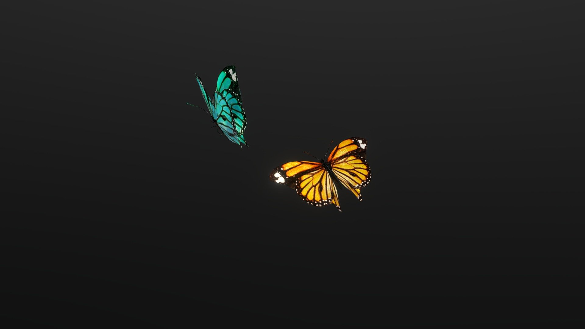 Butterflies 3d model