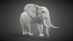 Elephant Base Mesh