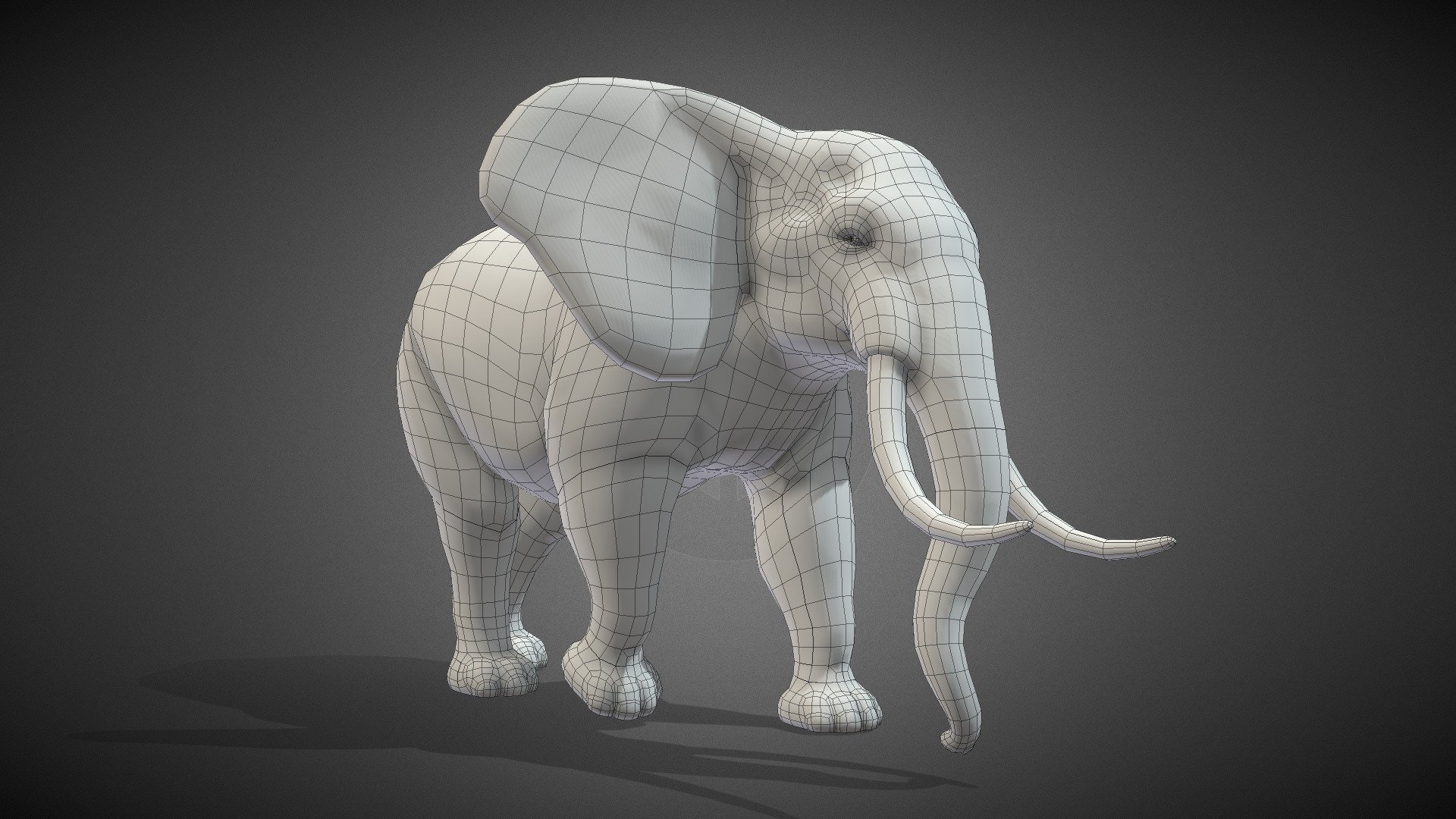 Elephant Base Mesh 3d model