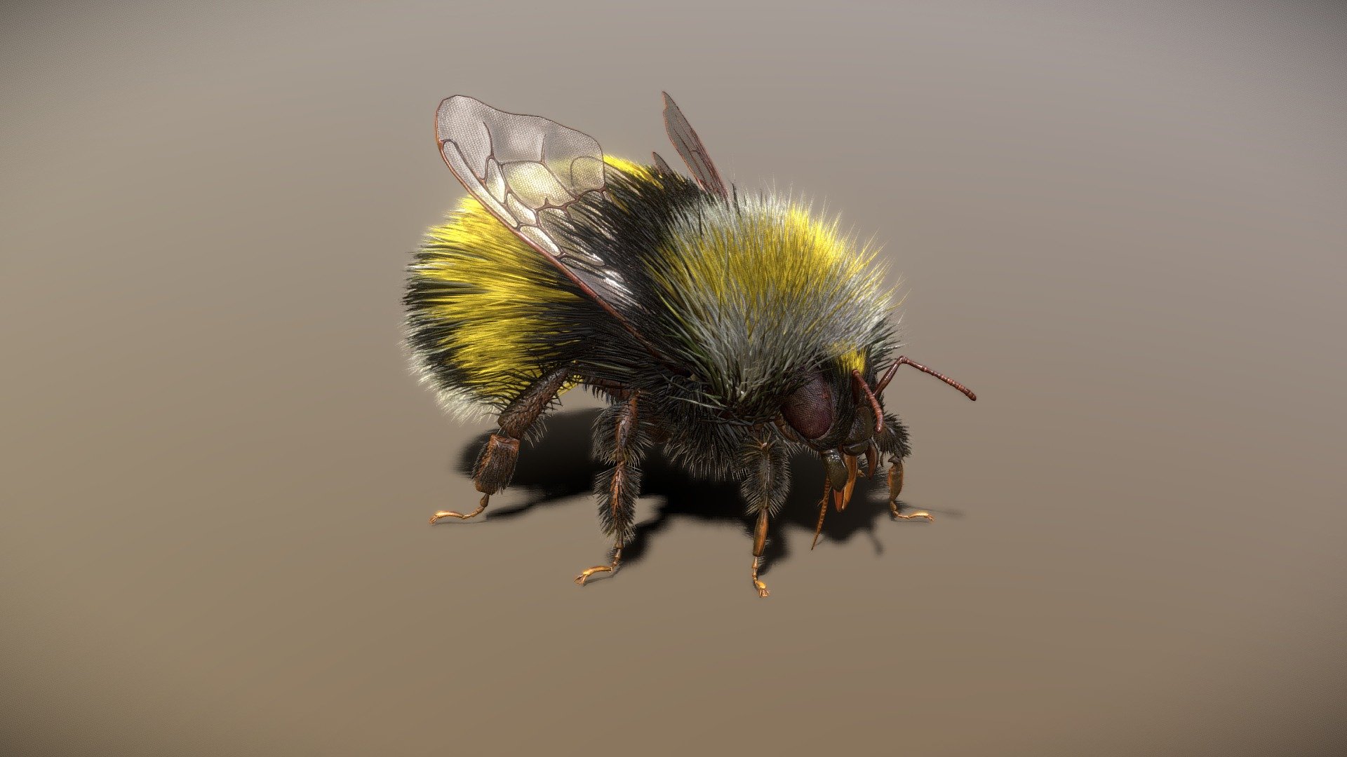 BumbleBee Rigged PBR 3d model