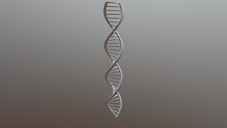 DNA