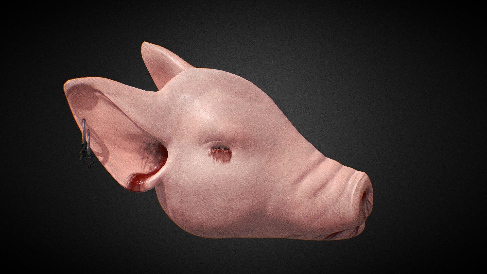 cut pig head 3d model