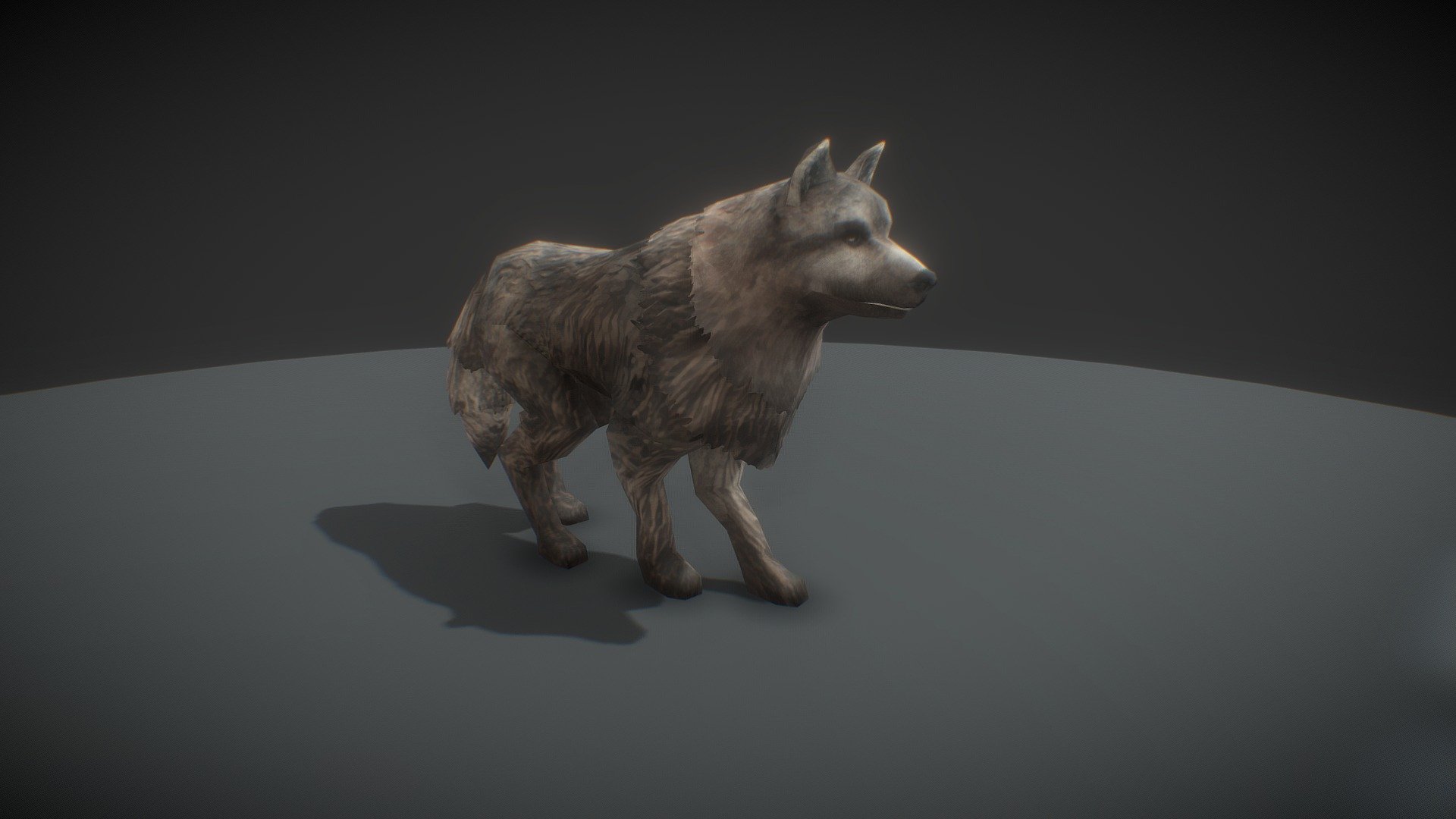 Fantasy Dog 3d model