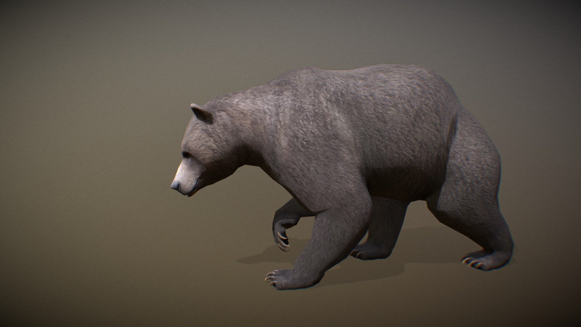 Animalia 3d model