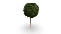 Tree (Low Poly)