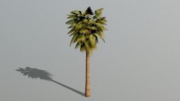 Free Game Ready Palm