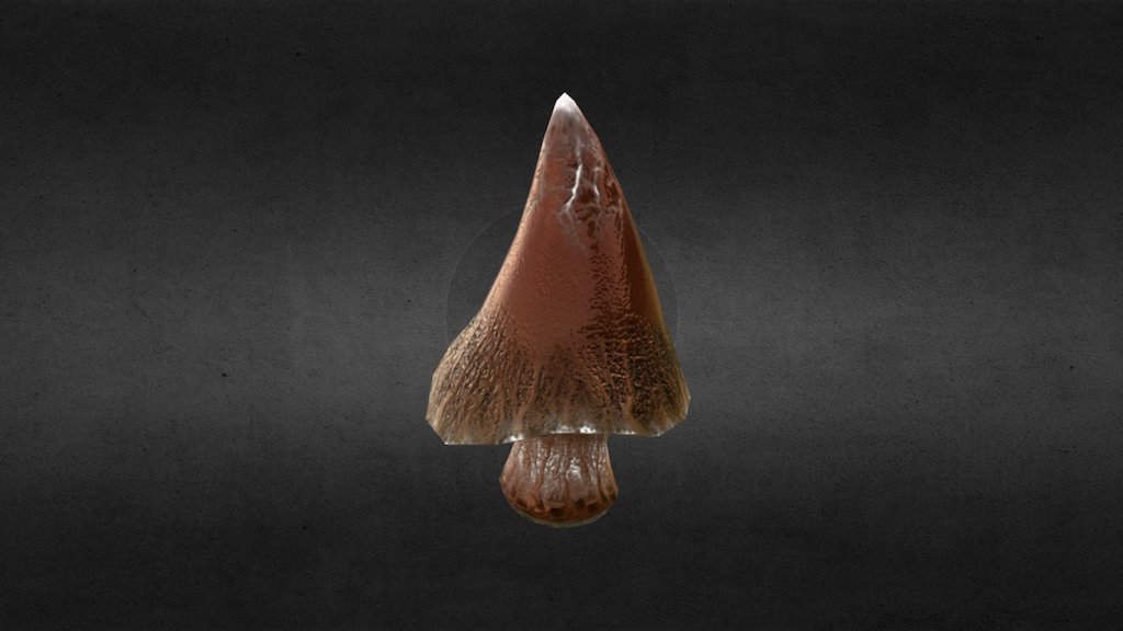 Fantasy Mushroom (Cone, Tree) 3d model