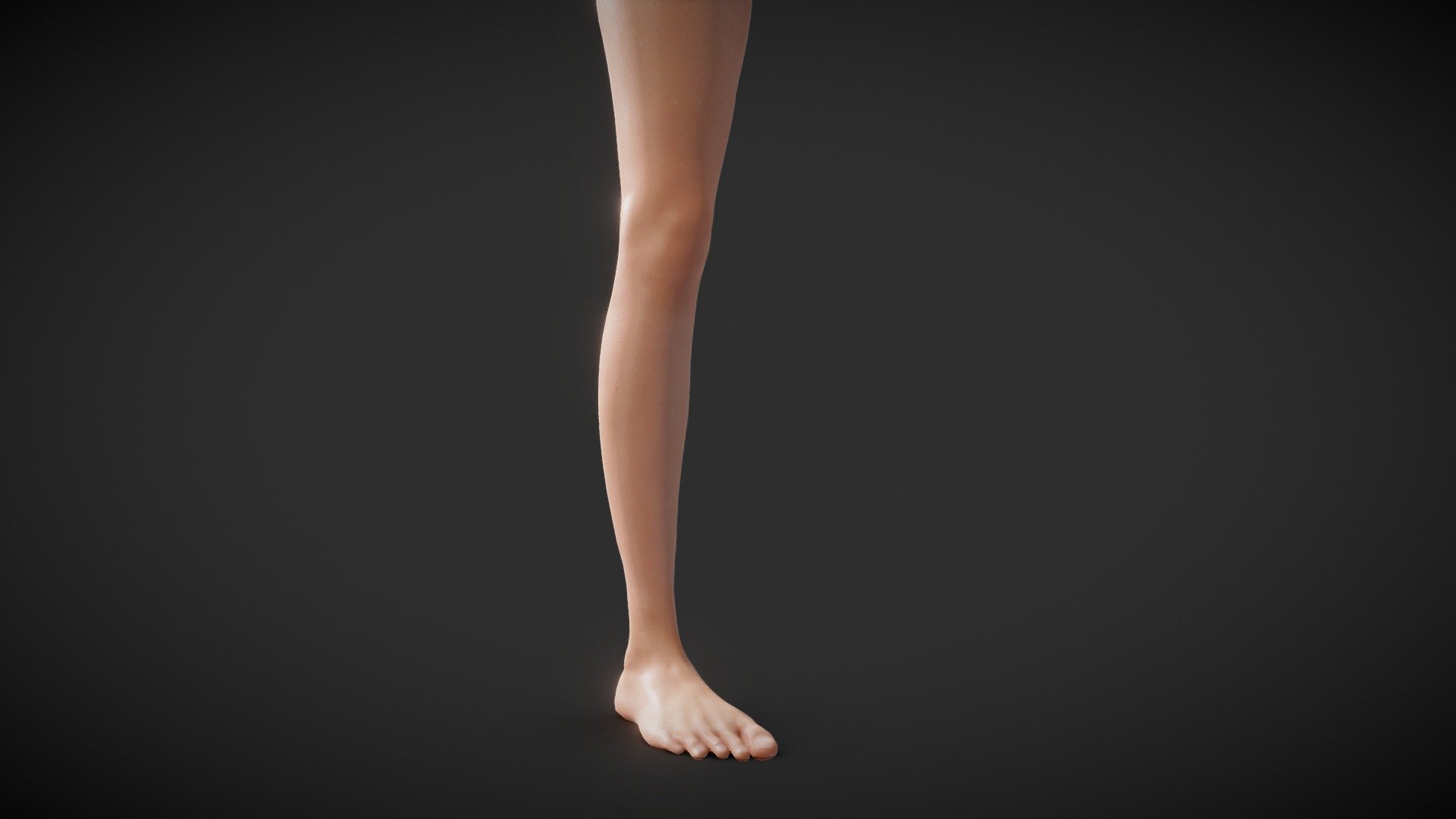 Fit Female Anatomy 3d model