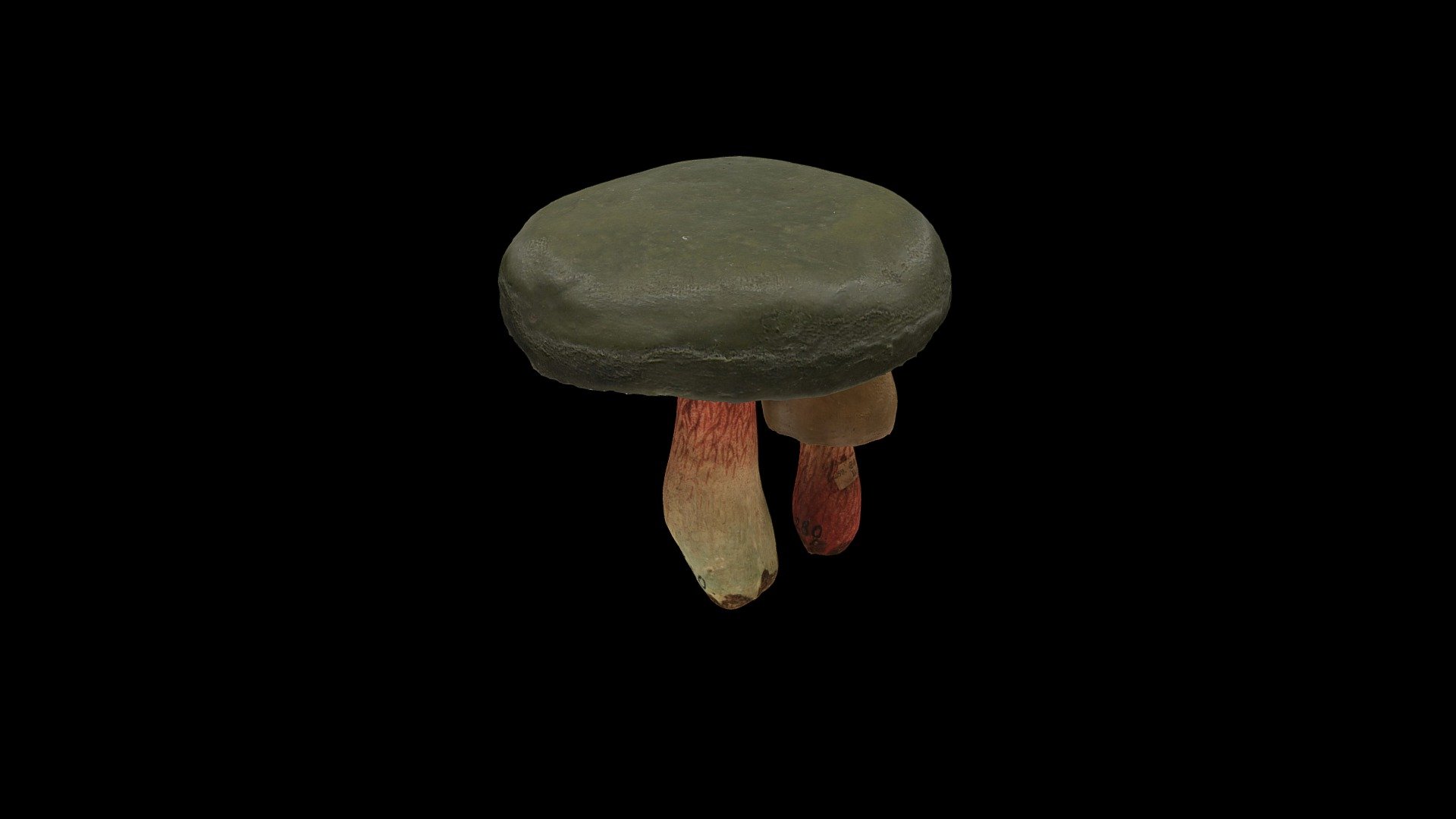 Leponogi Goban Boletus calopus 3d model