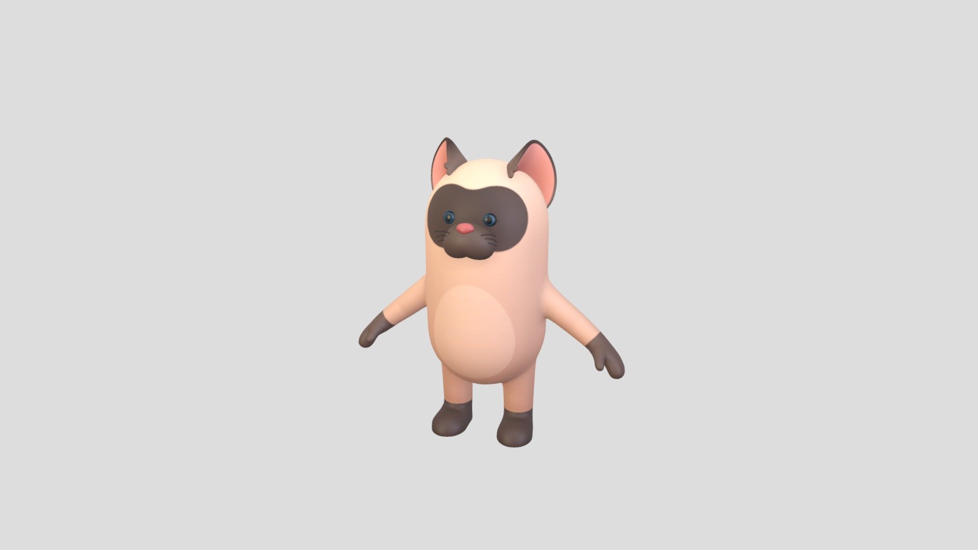 Siamese Cat Character 3d model