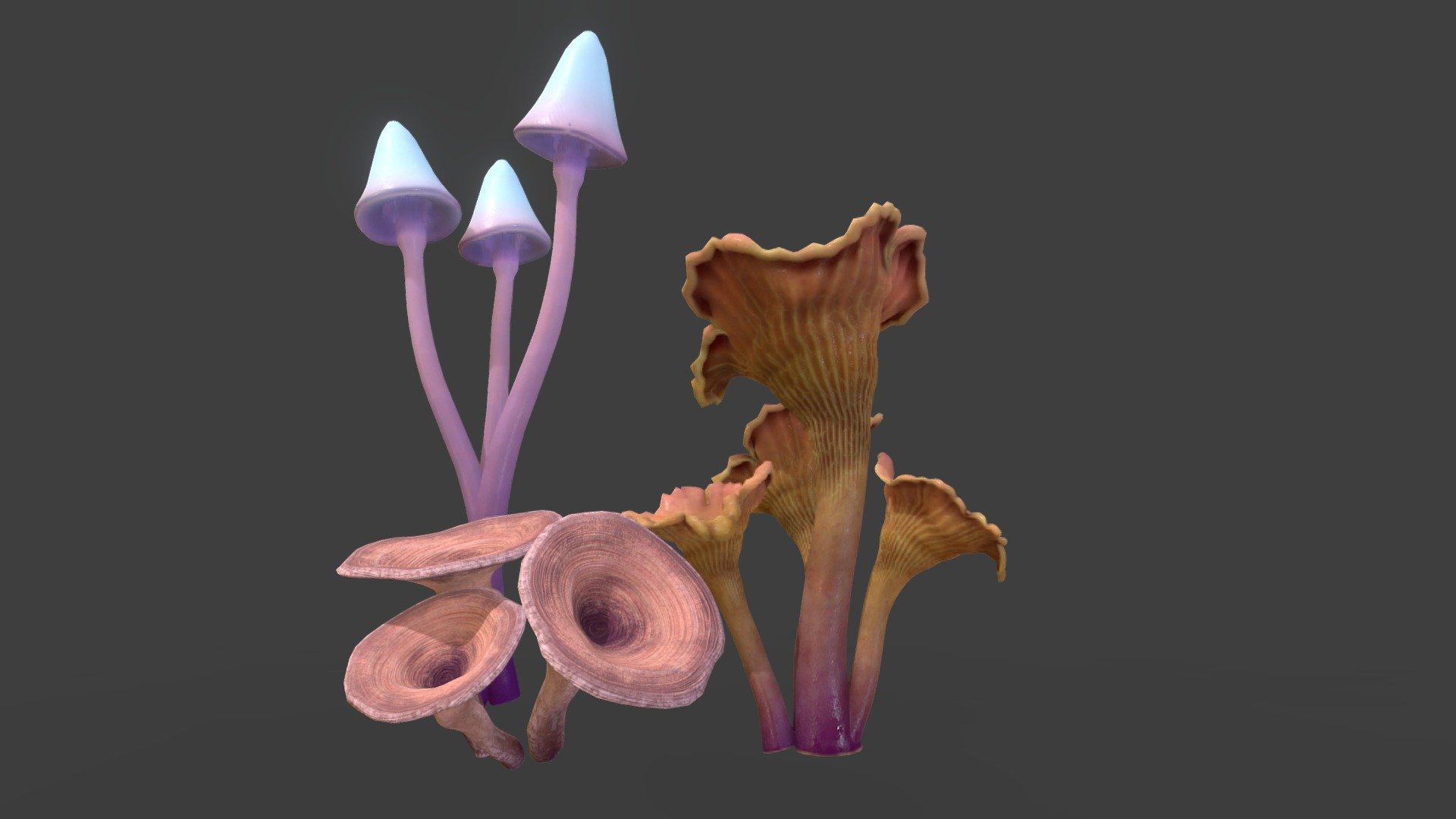 Mushrooms Collection 3d model