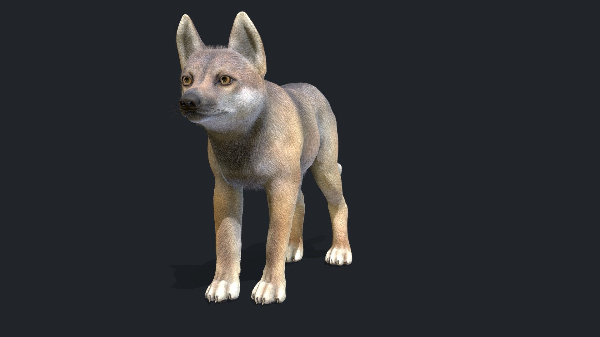 Wolf 3d model