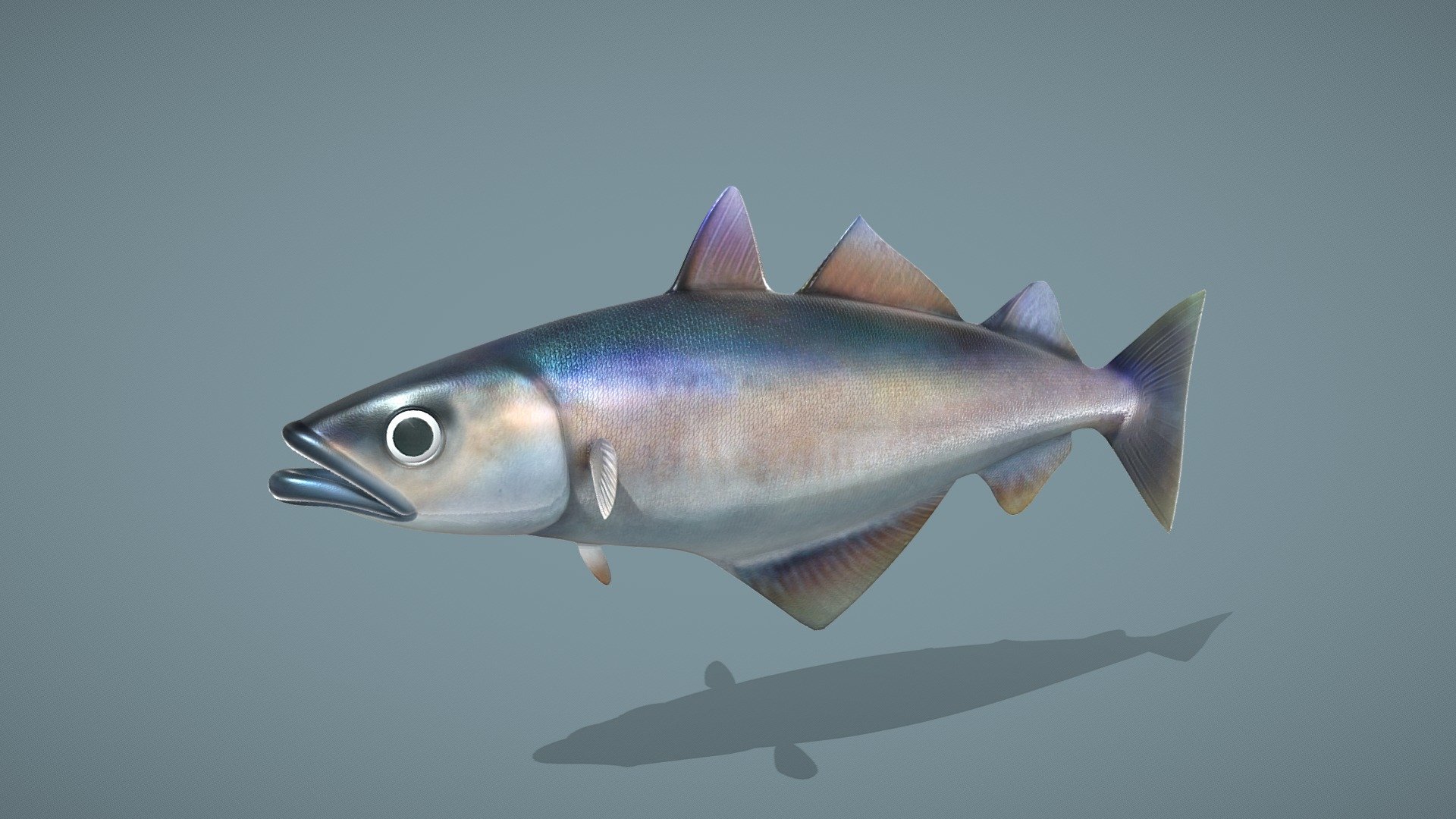 Fish 3d model