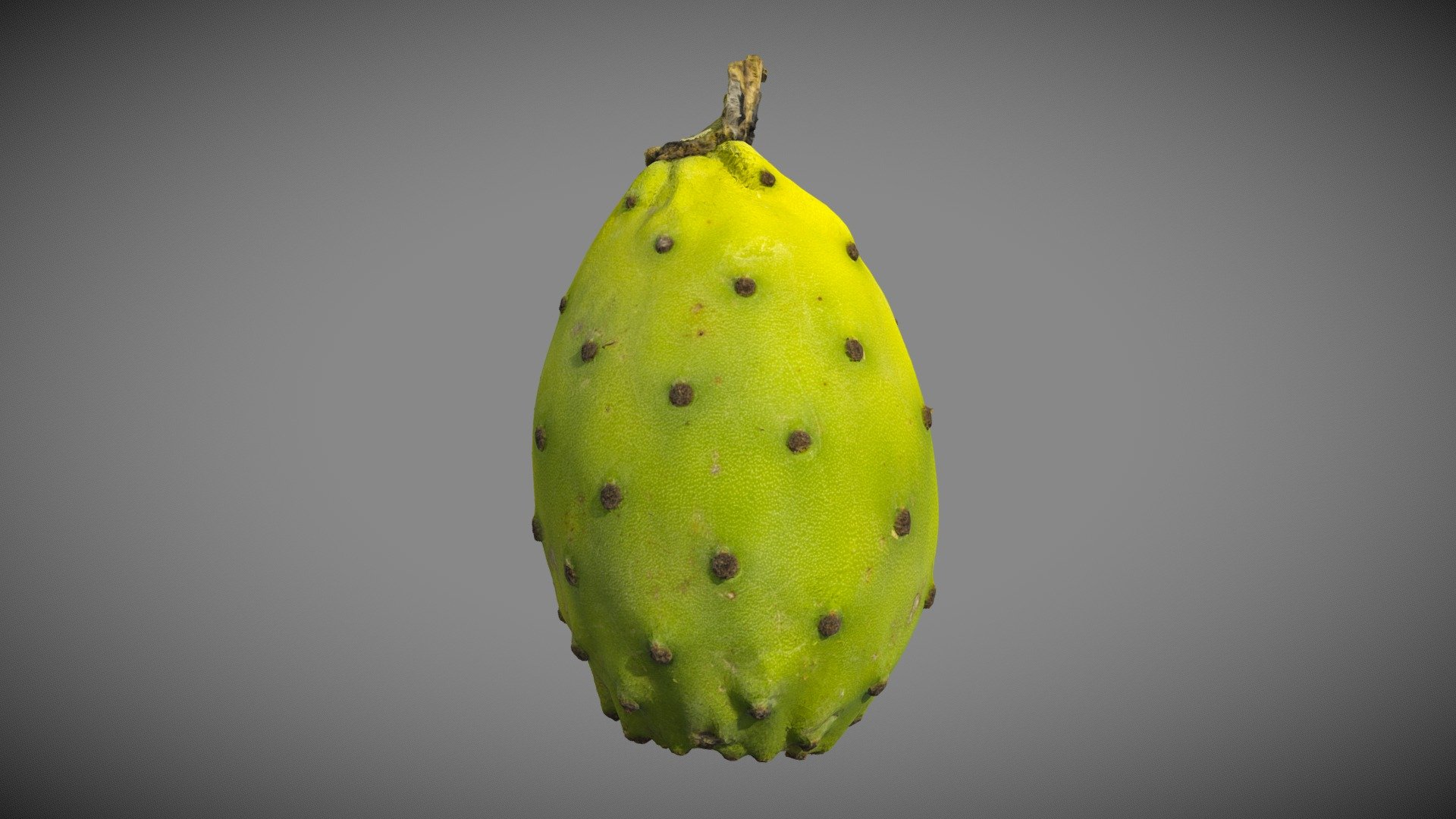 Green Prickly Pear 3d model