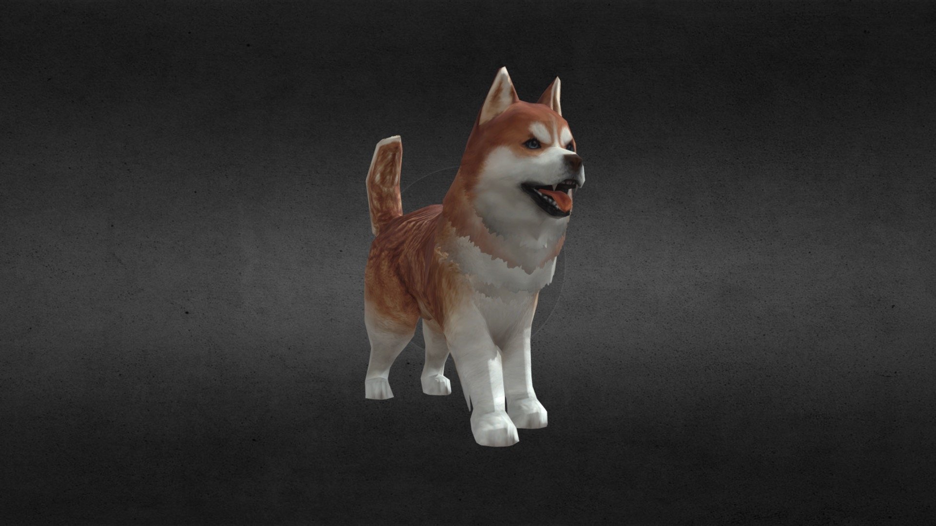 Husky 3d model