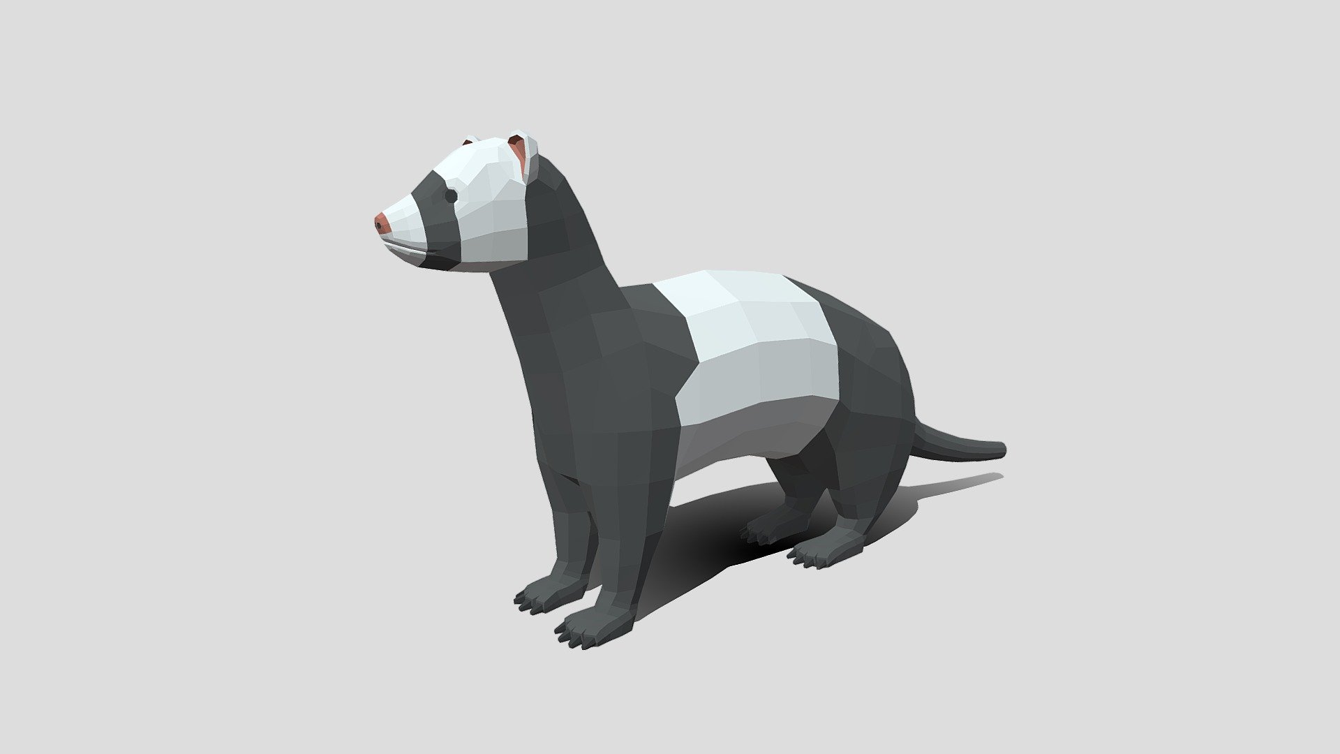 Low Poly Cartoon Ferret 3d model