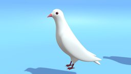 Cartoon Cute Pigeon Dove