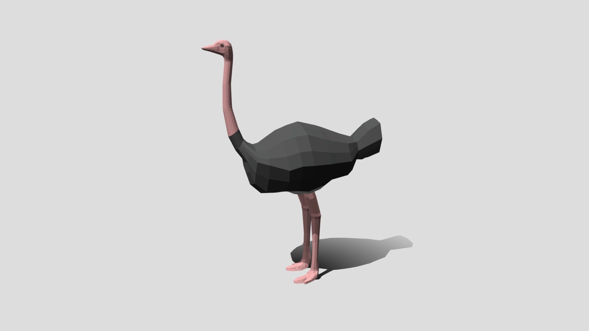 Low Poly Cartoon Ostrich 3d model