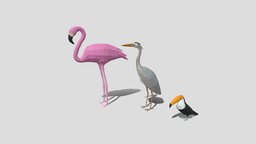 Low Poly Cartoon Exotic Birds Pack