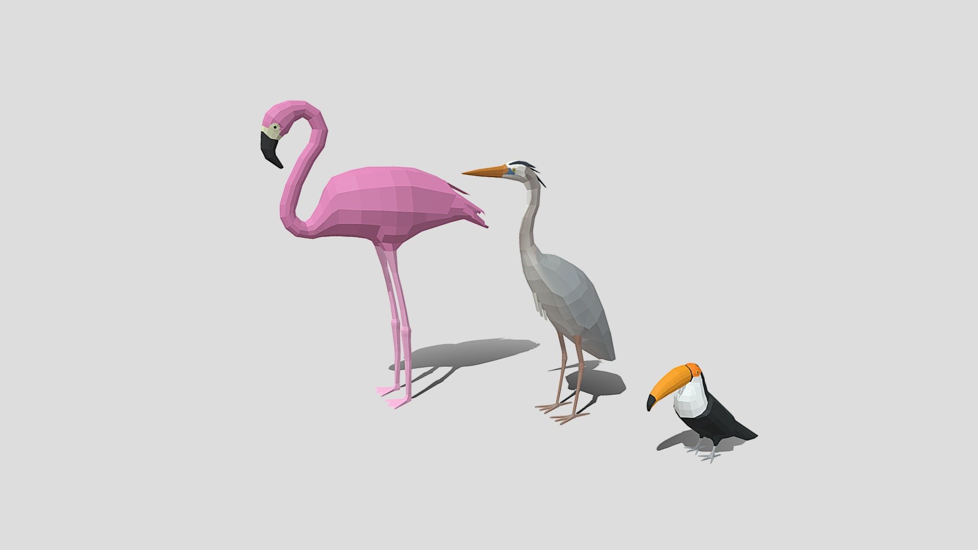 Low Poly Cartoon Exotic Birds Pack 3d model