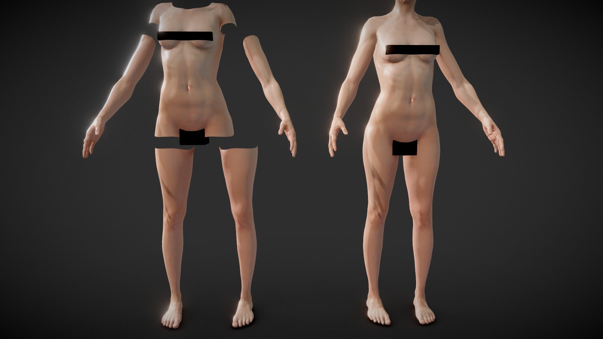 Fit Female Anatomy 3d model