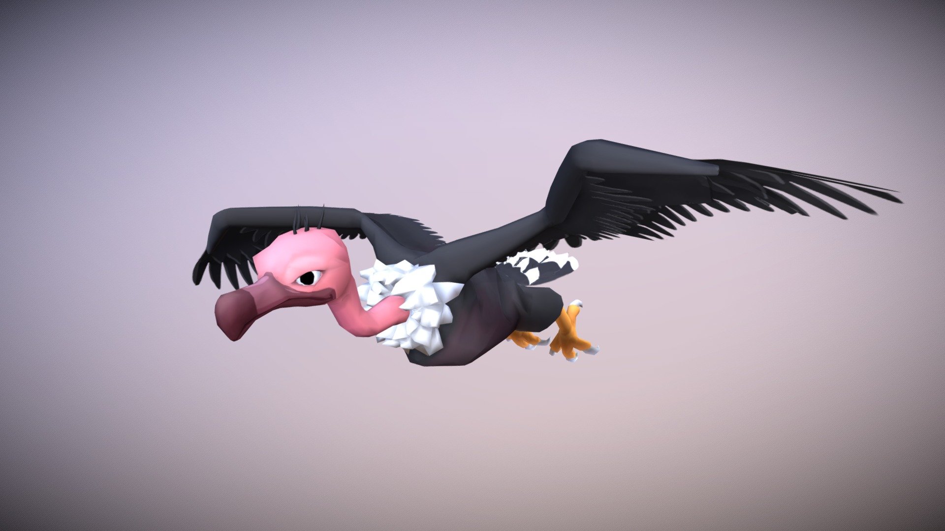 Hooded Vulture 3d model