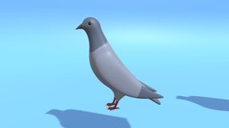 Cartoon Cute Pigeon Dove