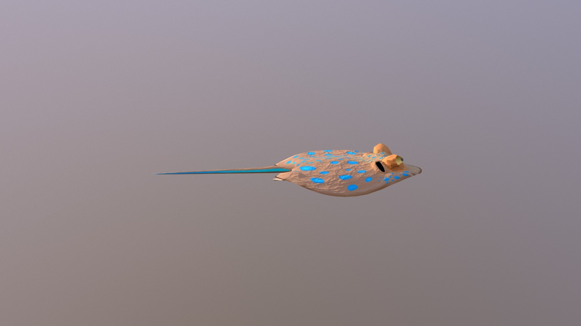 Animated cartoon stingray 3d model